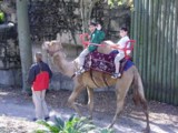madoverlord.com_media_sm_dsc014_dsc01435.jpg